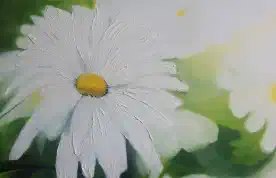 Daisy