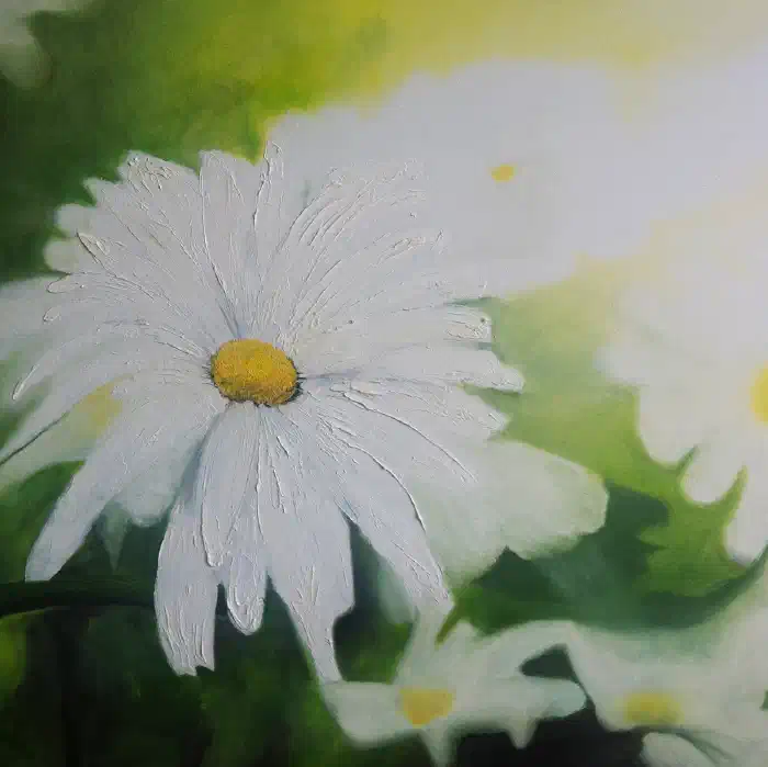 Daisy
