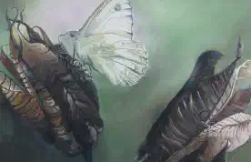 Akkelei Pt.II