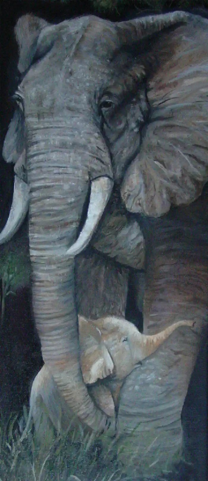 Elephant