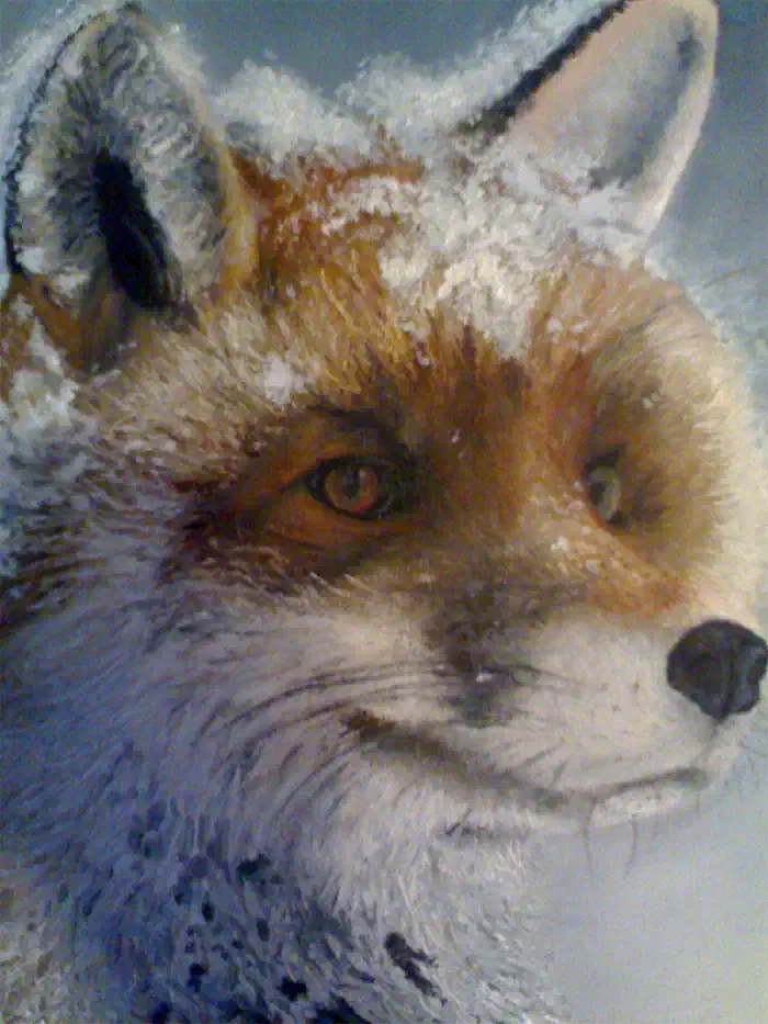 Fox