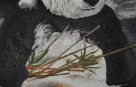 Panda back2back I