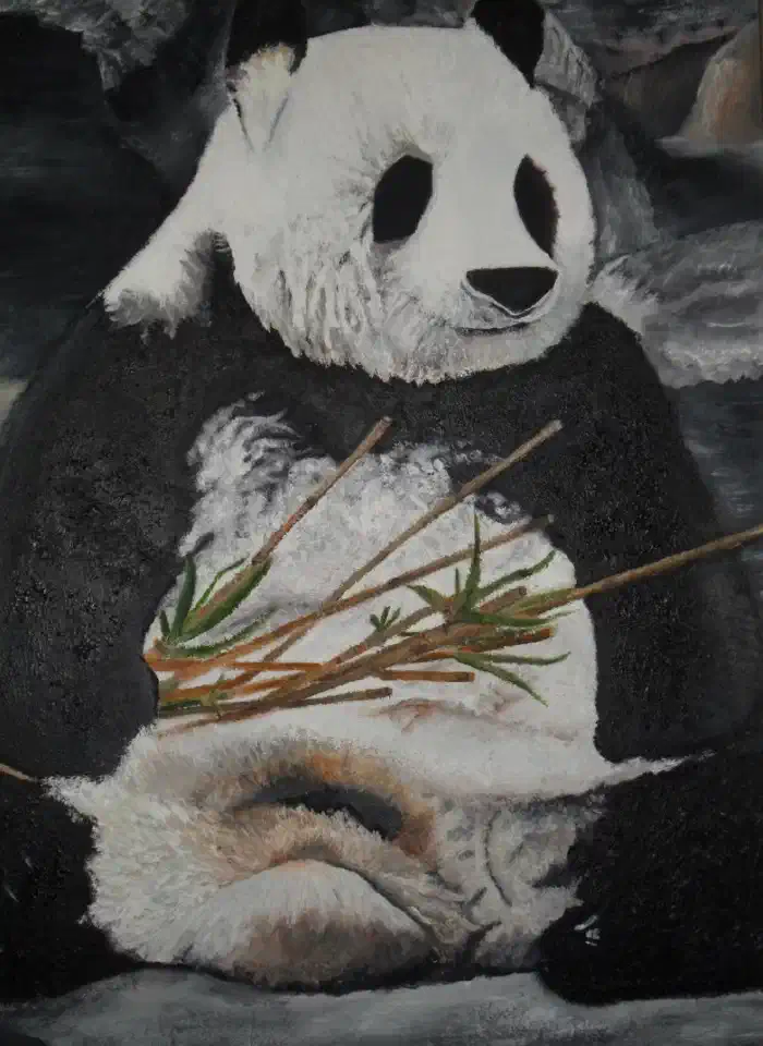Panda back2back I