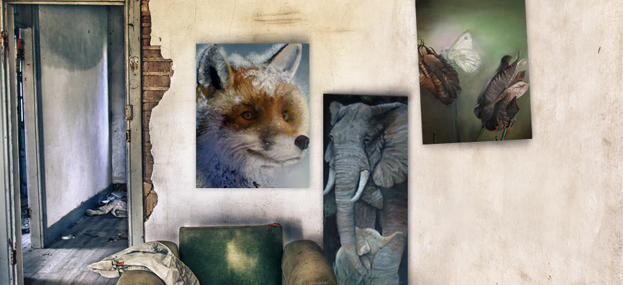 Image for Animal Beauties